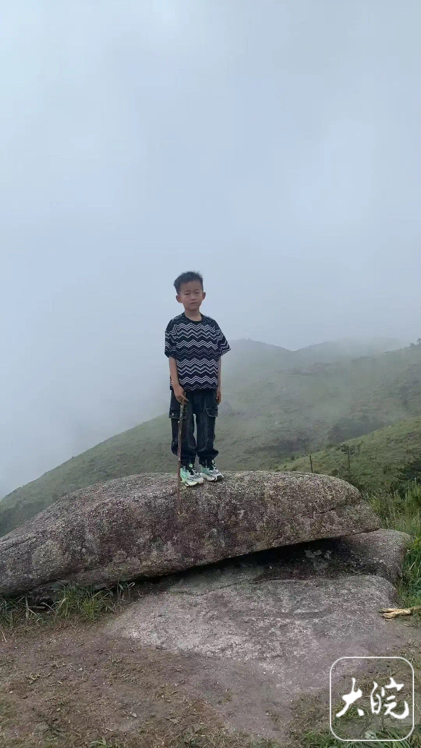 【福建#8岁男孩在海拔超1800米景区失踪#，当地回应：下山途中走失，还在寻找】