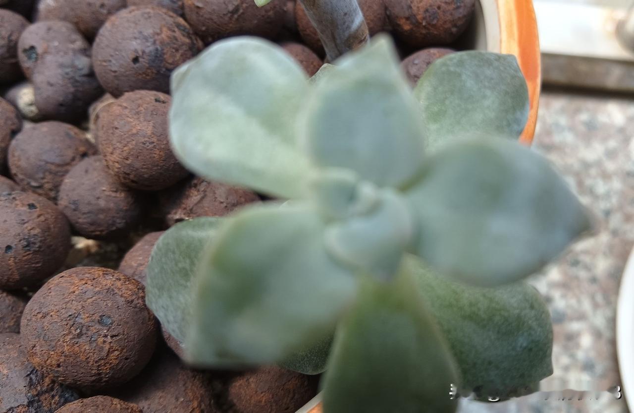 有药店老板说，现在根本不需要业务员，产品平台上多的是，要的是客流！
药品销售业务