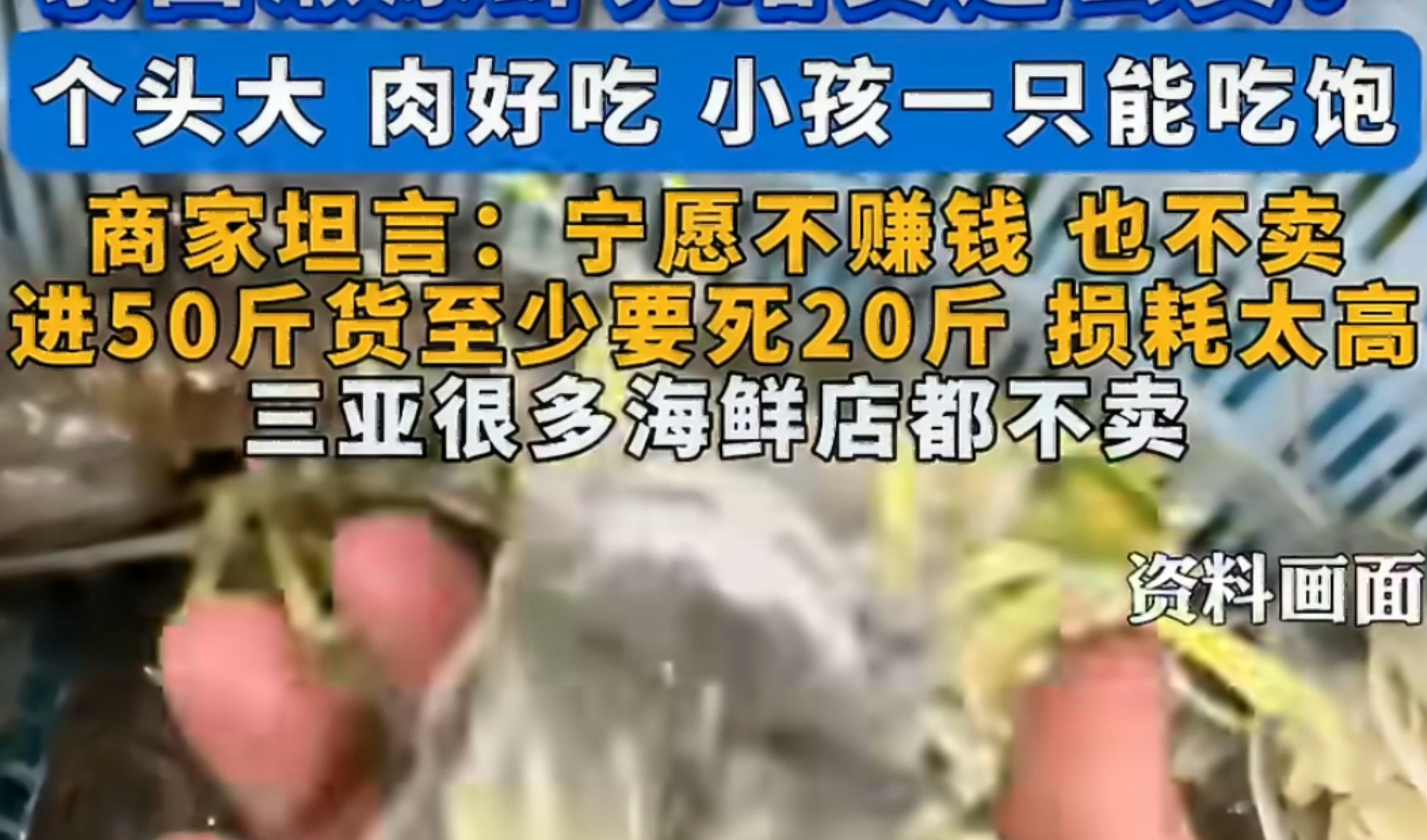 吃过同款皮皮虾食客发声最痛心的是未违法的的餐厅老板因为舆论击垮直接没了，留下了孤