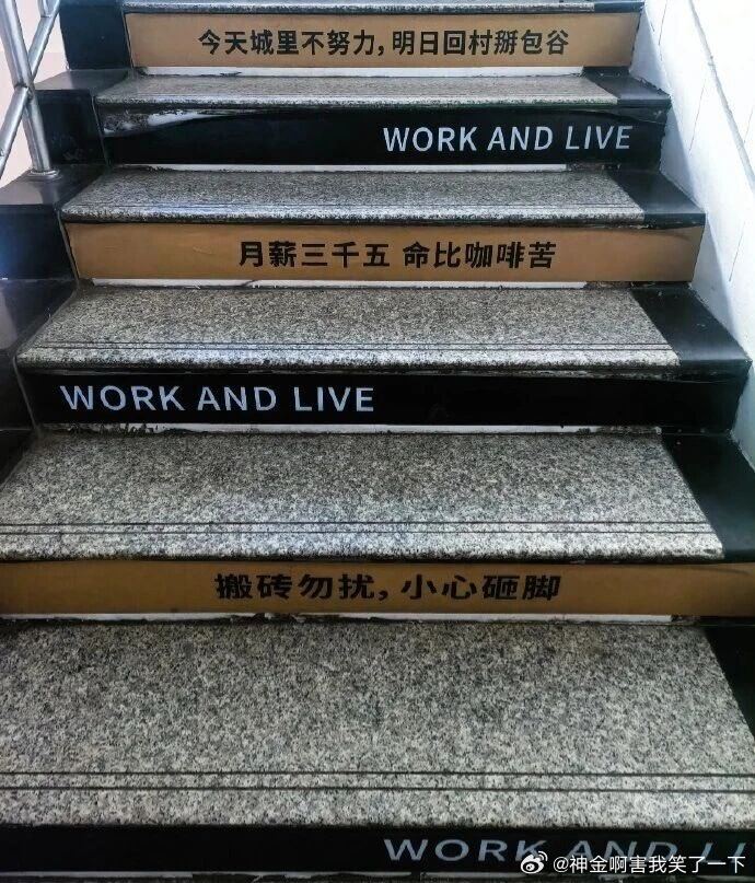 6275适合牛马的标语