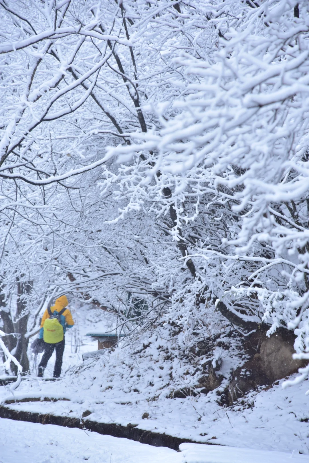 徒步圈 杭州人民也有自己的雪山📍吴越古道