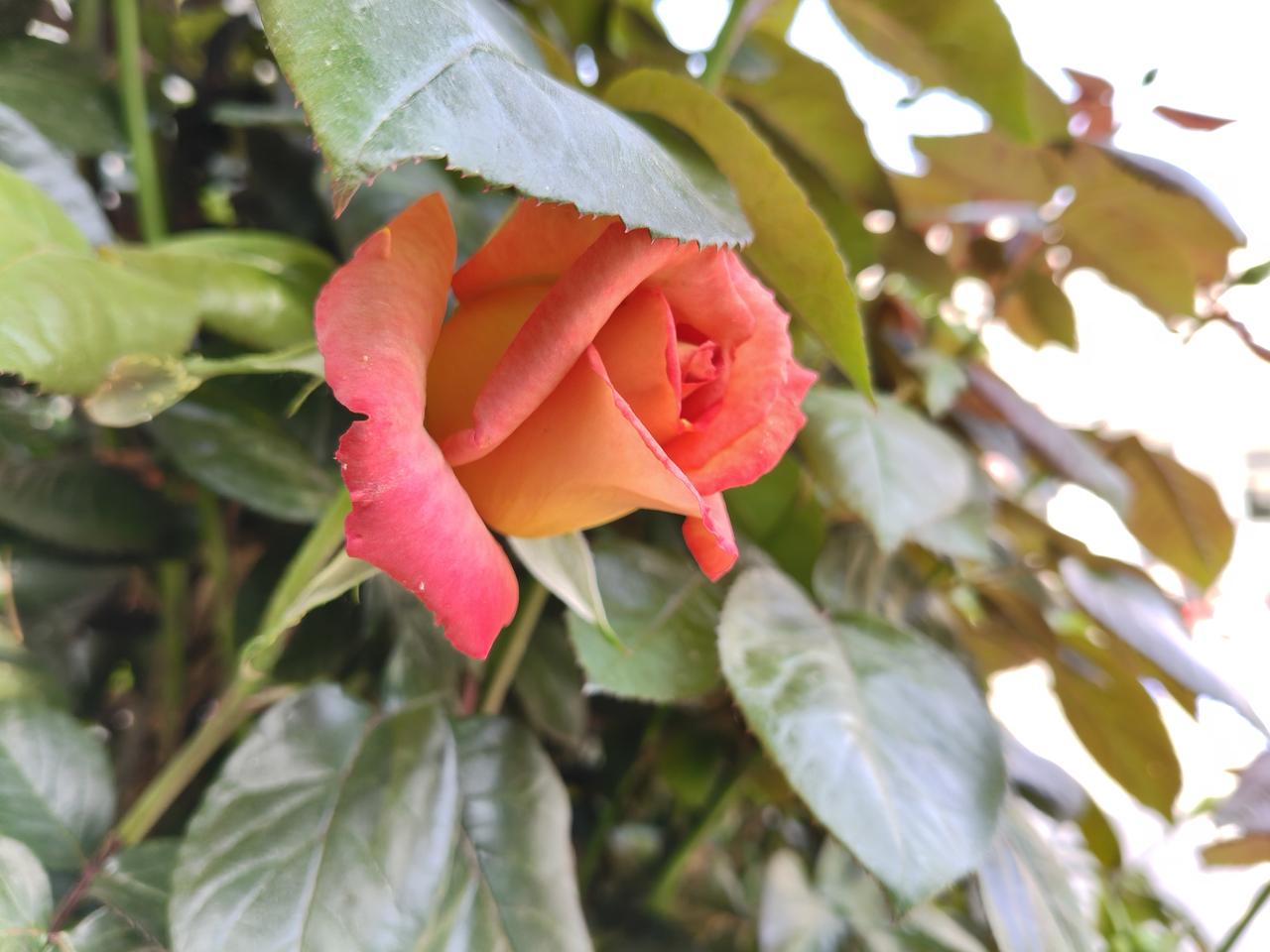 人到底怎样才算活得健康又幸福？
哈佛大学的研究员们，以此为课题展开了一项长达 8