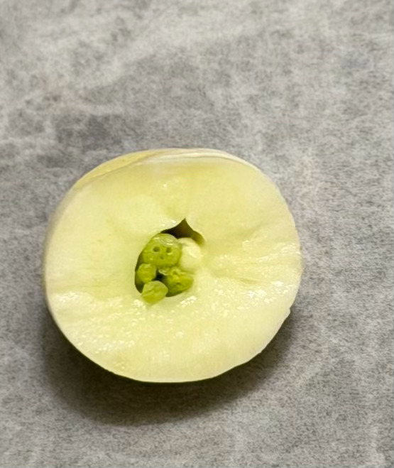 莲子横切面完全是蛋和单依纯好萌吧 