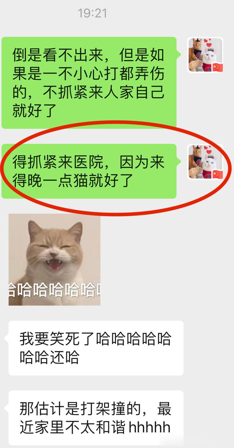然后有关#宠物医院赚黑心钱# 这个事儿吧就是……有些日常小毛病，外伤也好，呕吐拉