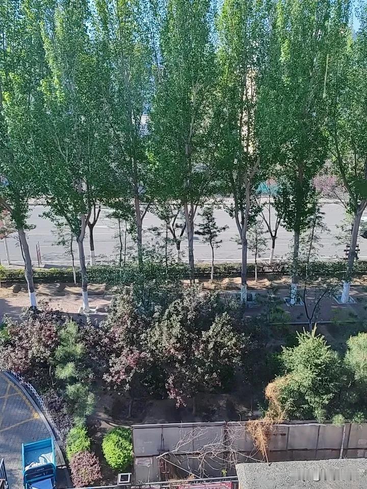 如果你是一个5、6岁孩子的爷爷奶奶，
哄孙子孙女的最好办法就是你的手机，
不管在