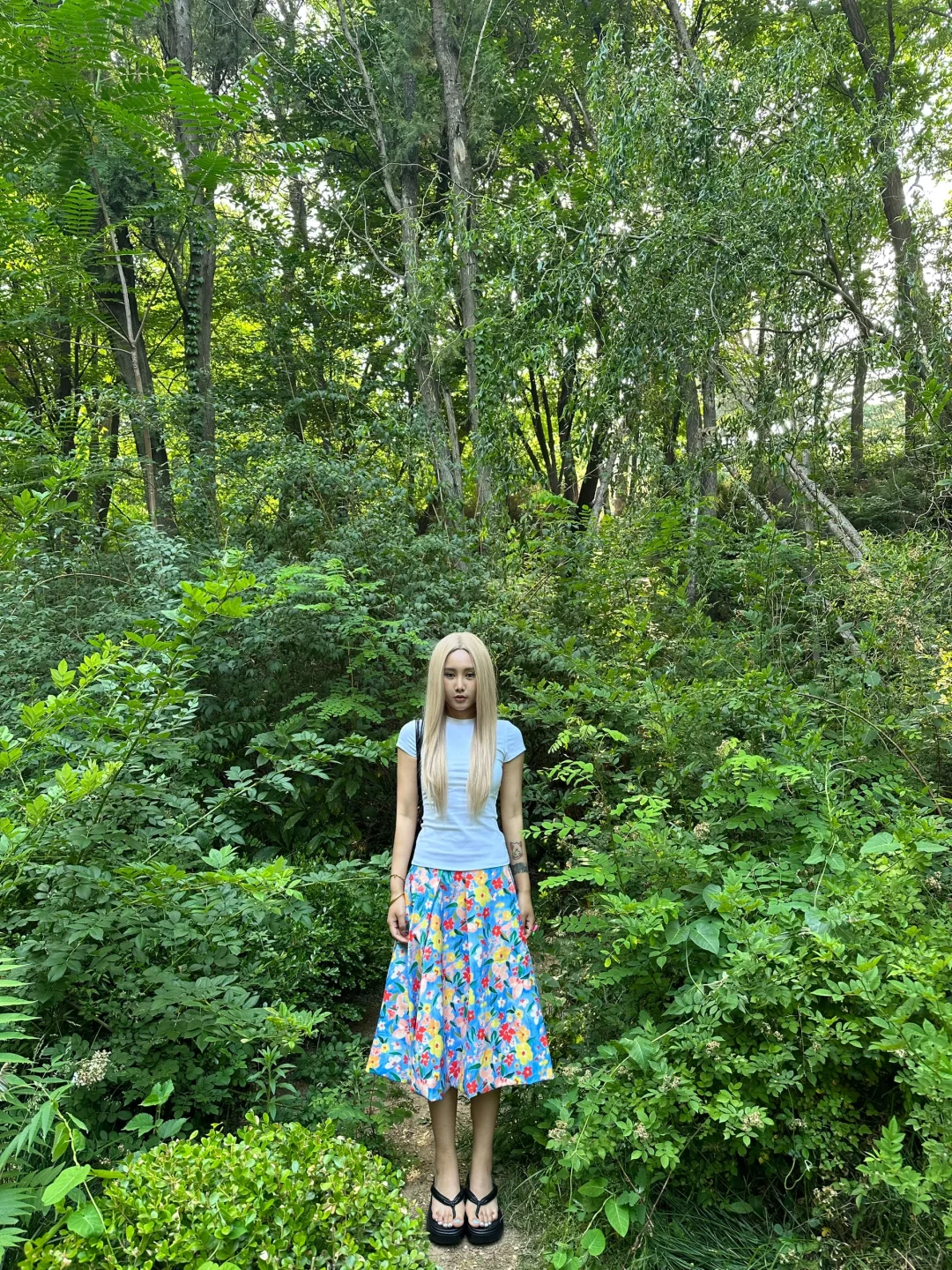 仲夏花园🌱🌷🪴
