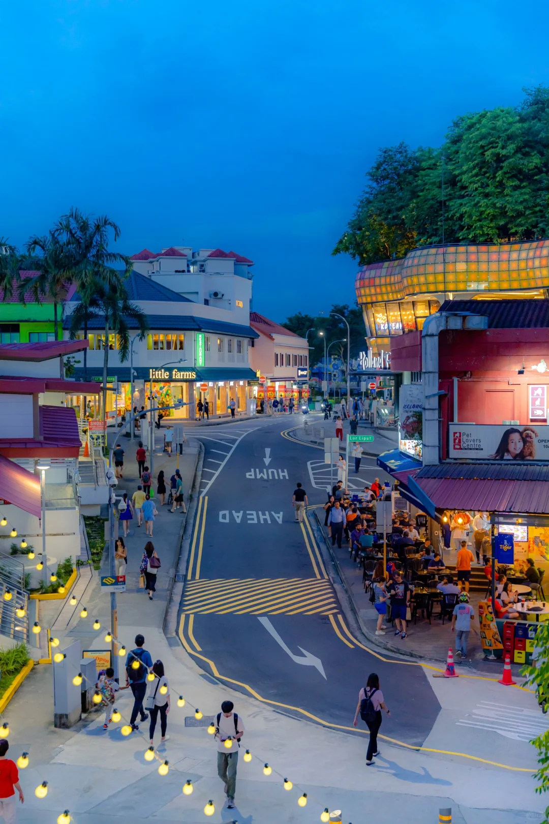 刚从新加坡回来，后劲太大了！