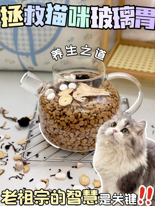 救命！终于找到让崽肠胃变铁打的猫粮了！！
