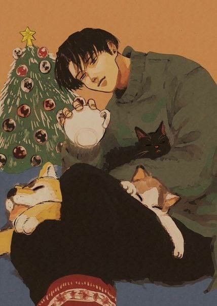 1805养了很多宠物的小猫 