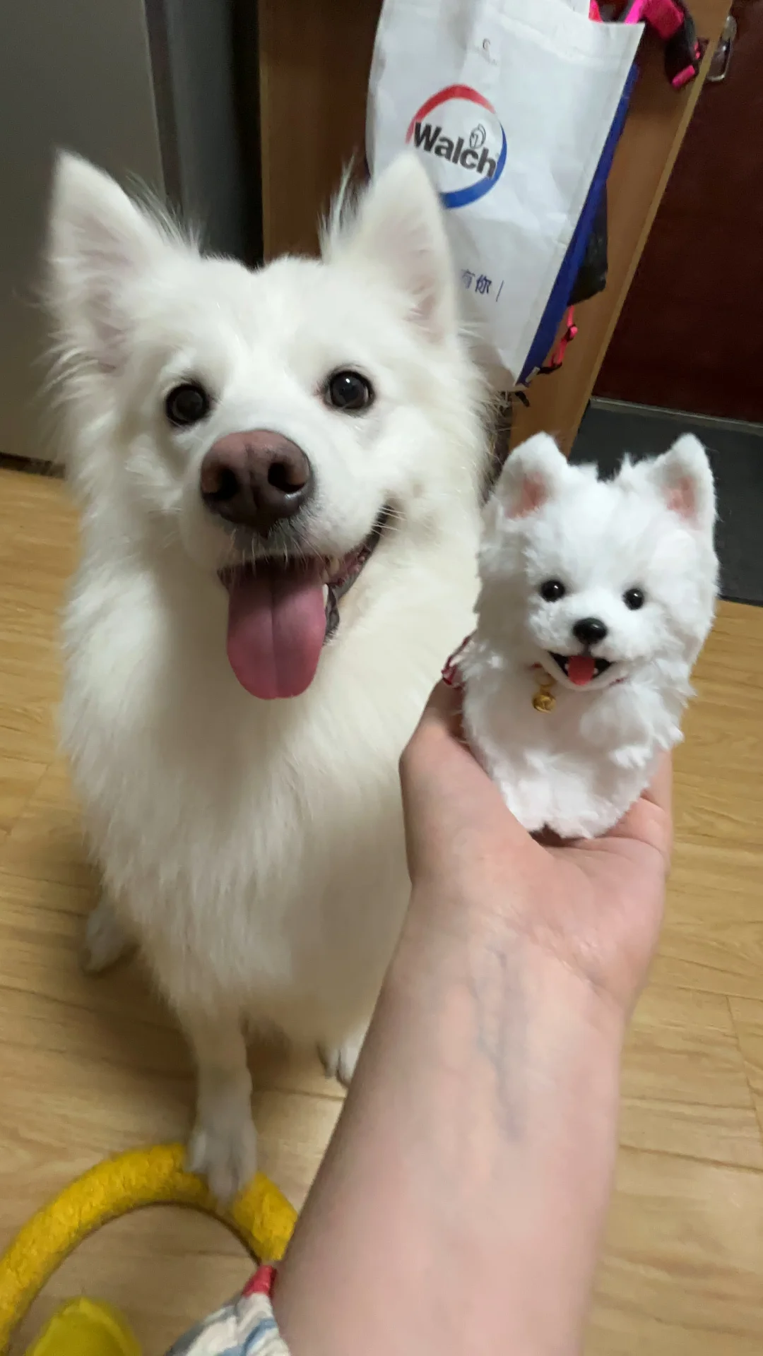 麻麻 我俩的屁股都一模一样呢