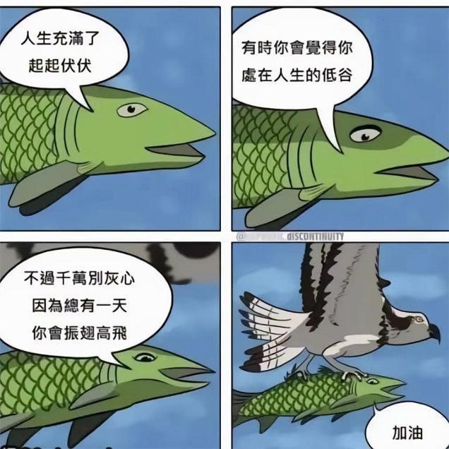 加油 