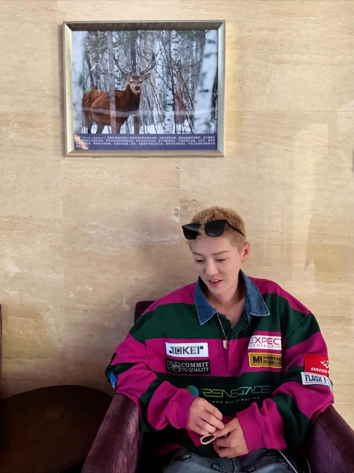 你们都是小鹿
