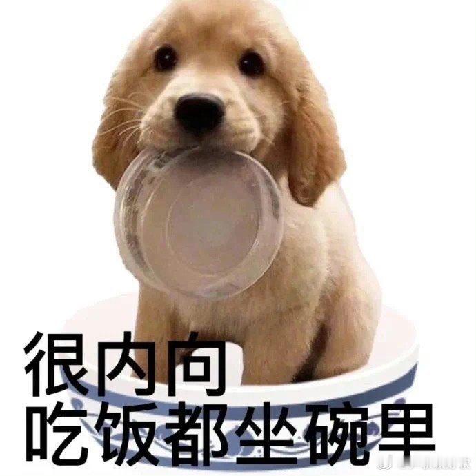 咪明天要去太原出差[开学季]天气咋样啊[开学季] ​​​