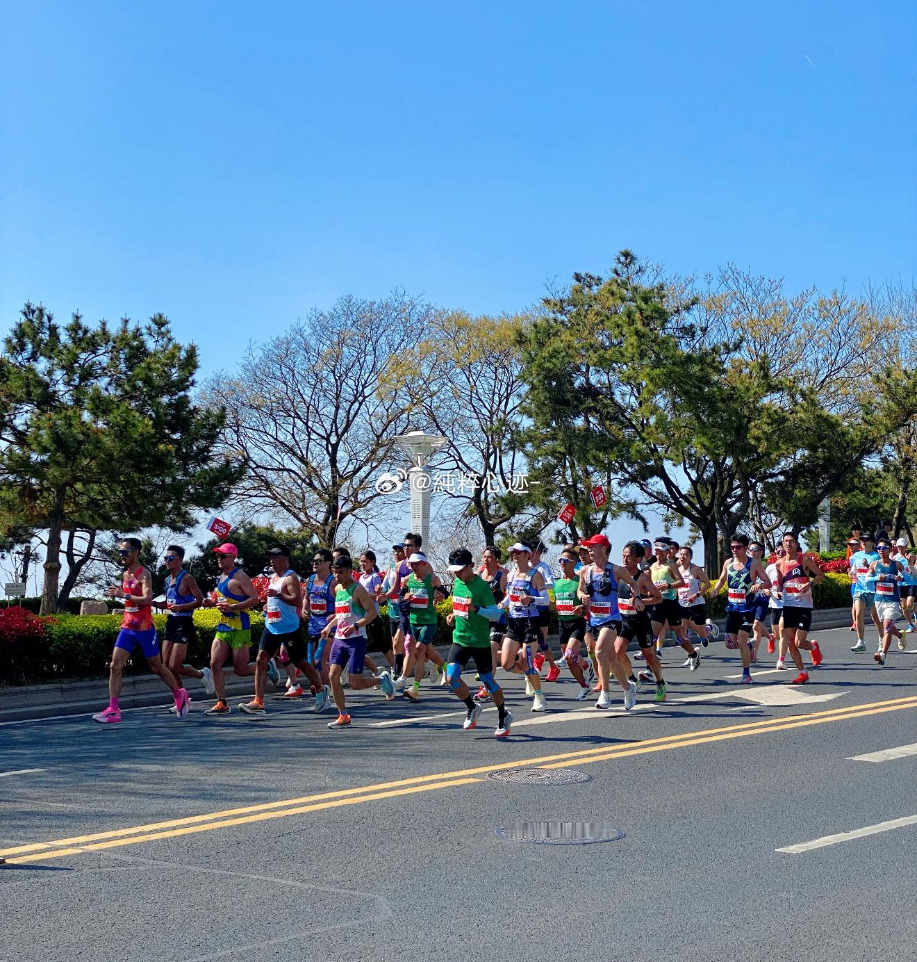 2026青岛马拉松中签率不足一成2026青岛马拉松也太火了！报名人数比上届猛增4