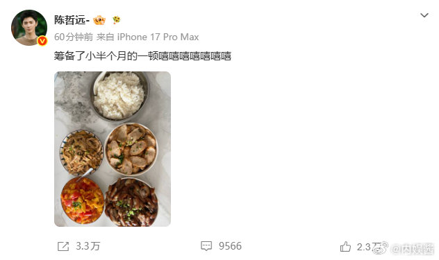 陈哲远一顿饭的饭量陈哲远嘻嘻嘻背后藏着超大碗米饭！盼了小半个月终于放开吃，四样硬