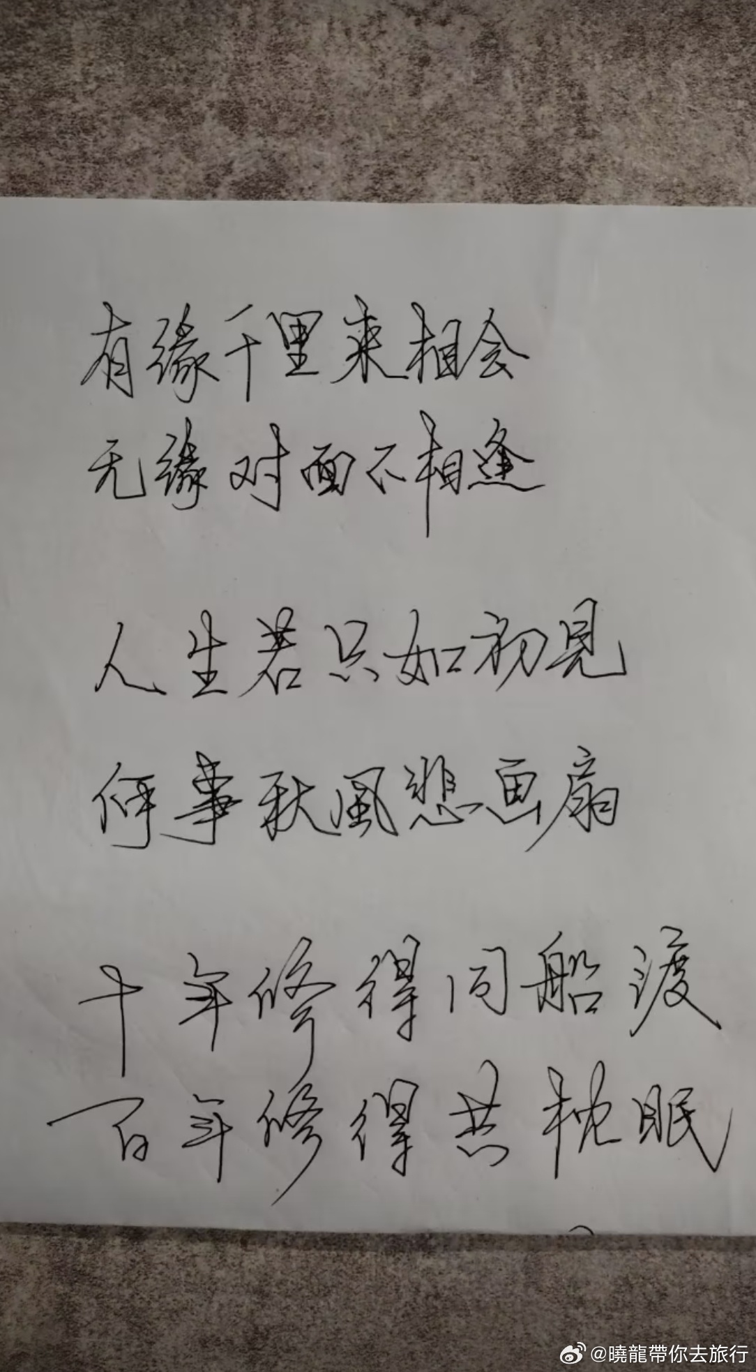 修心养性，好好写字晓龙带你看世界自由撰稿人 杨晓龙网络志愿者·晓龙和您聊公益 。