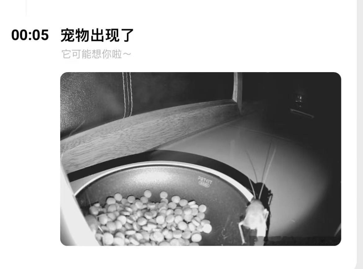 它可能想你啦～ ​​​