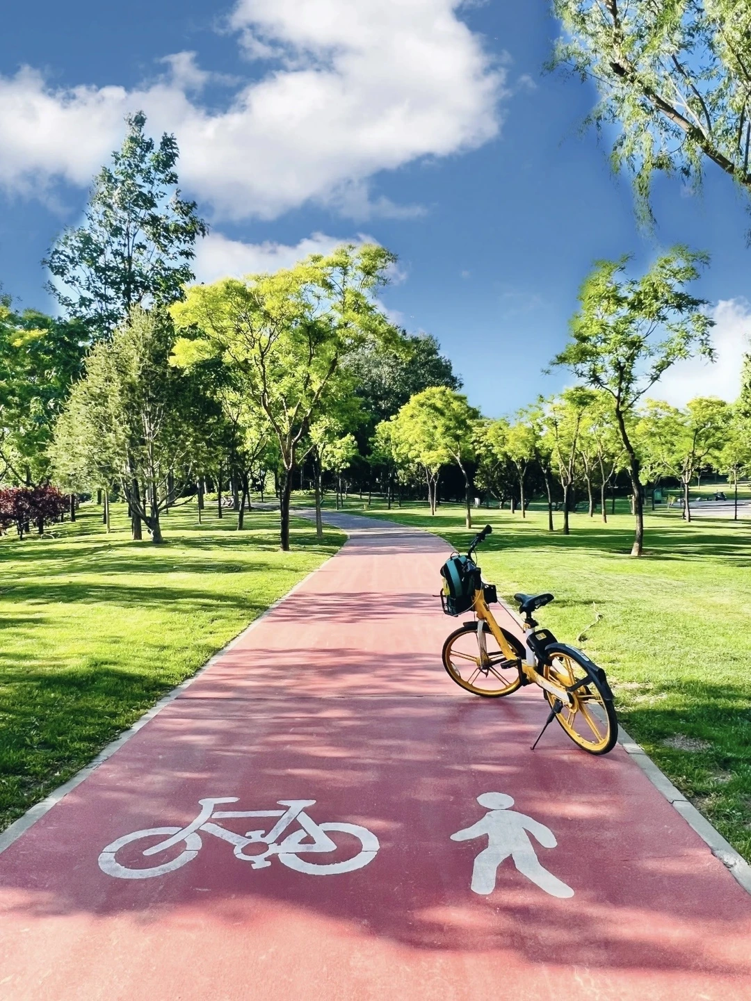 🌿北京初夏骑行路线🚴‍♂️海淀三山五园绿道