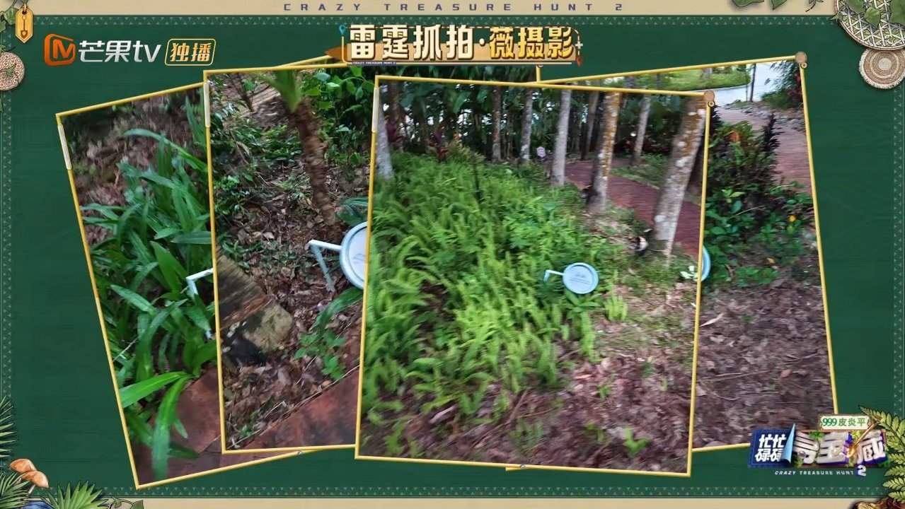 谁来管管田曦薇的拍照技术 自信拿起手机记录线索，田曦薇拍照速度飞快，谁知整理素材