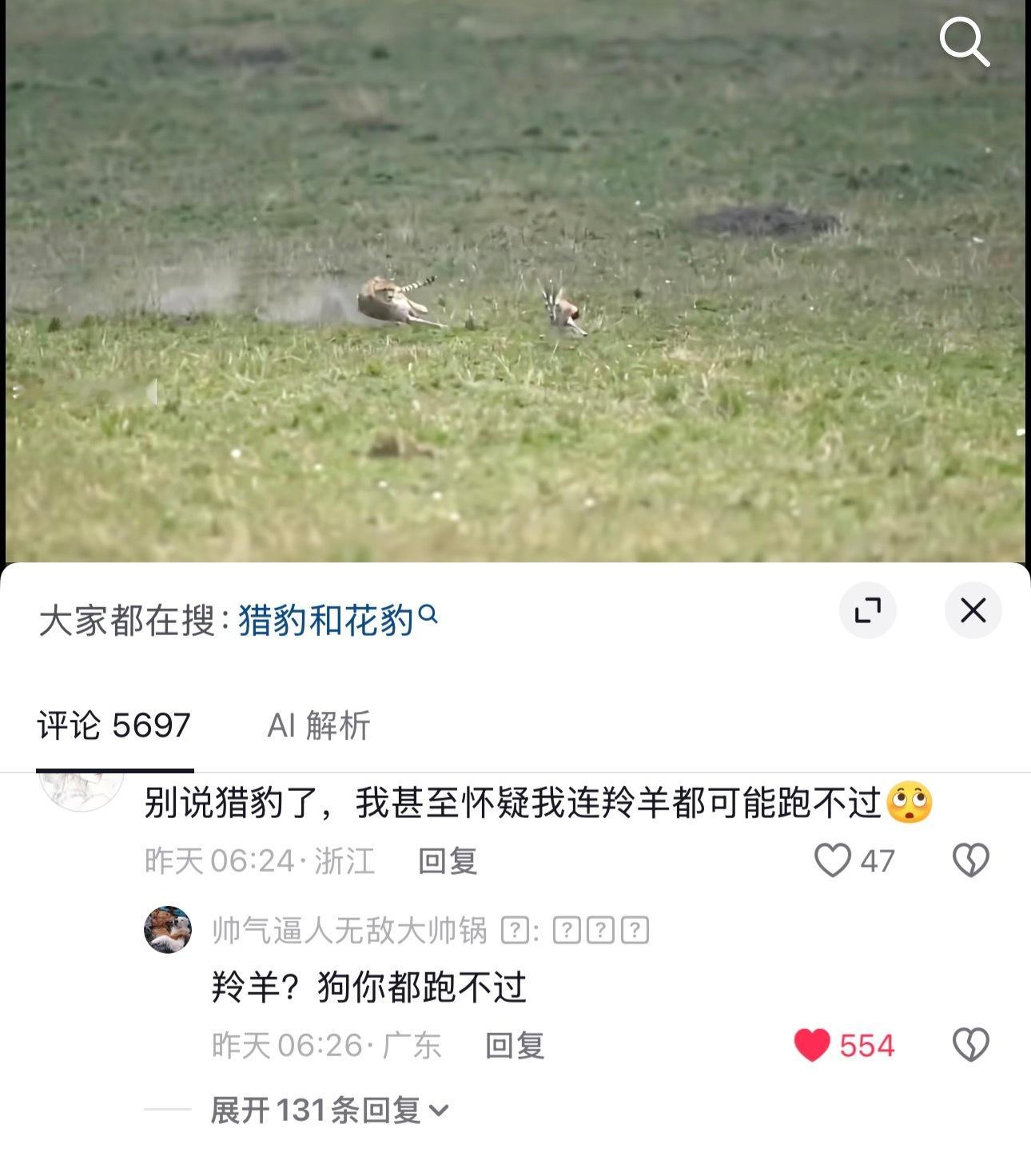[泪奔]那确实跑不过🐕 ​​​