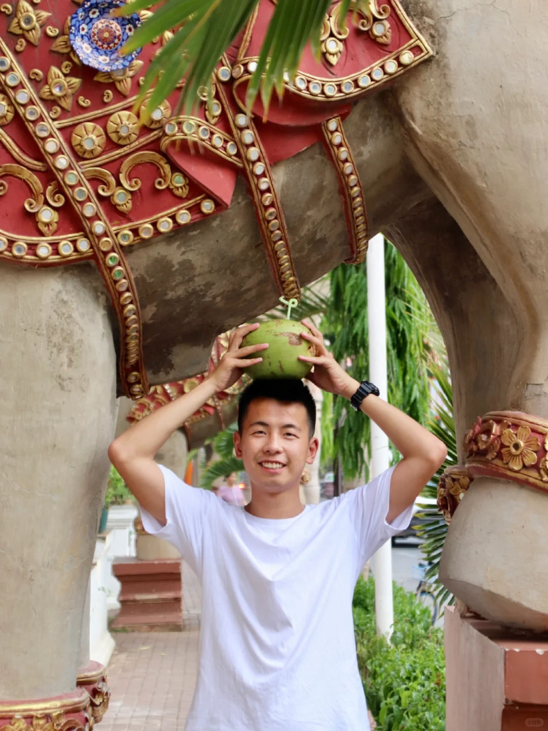 武汉 40℃，云南 24℃！我去西双版纳避暑了！