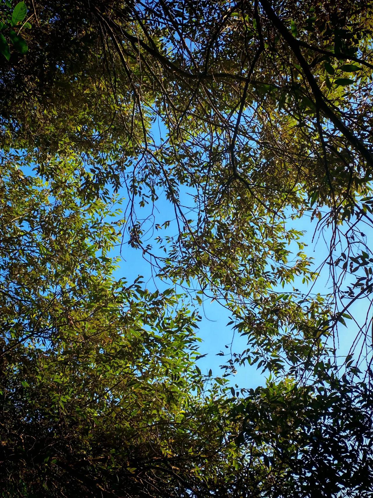 当一个人从荣耀加身、众人仰望的顶峰骤然跌落，过往的辉煌皆成幻影，一切优势与资源瞬