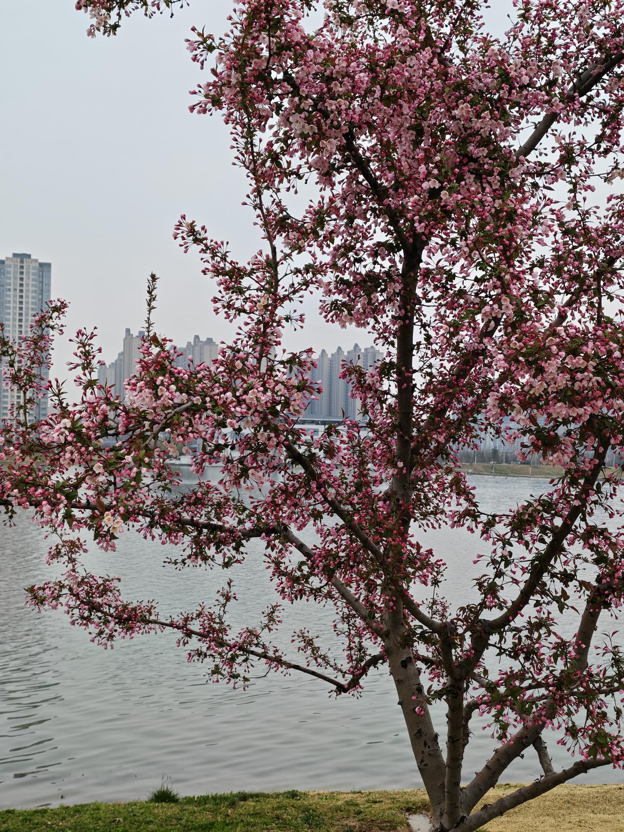 所谓创造价值，就是在自己的岗位上尽职尽责，做好本职工作，对企业产生积极的作用和影