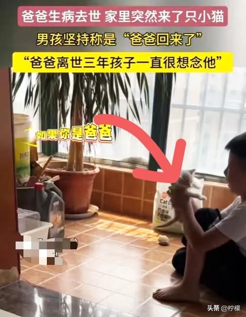 “解释不清了！”
河南，一男孩的爸爸因病去世，
当晚他就做了个梦，梦见爸爸变成了