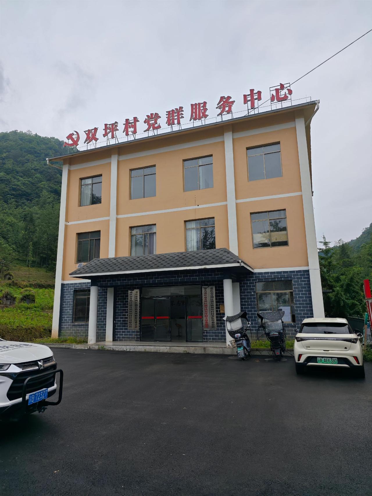 踩过沾雾的山路，风裹着树香漫过来，连乌云都变得软乎乎。  双坪村山野 进山日记 