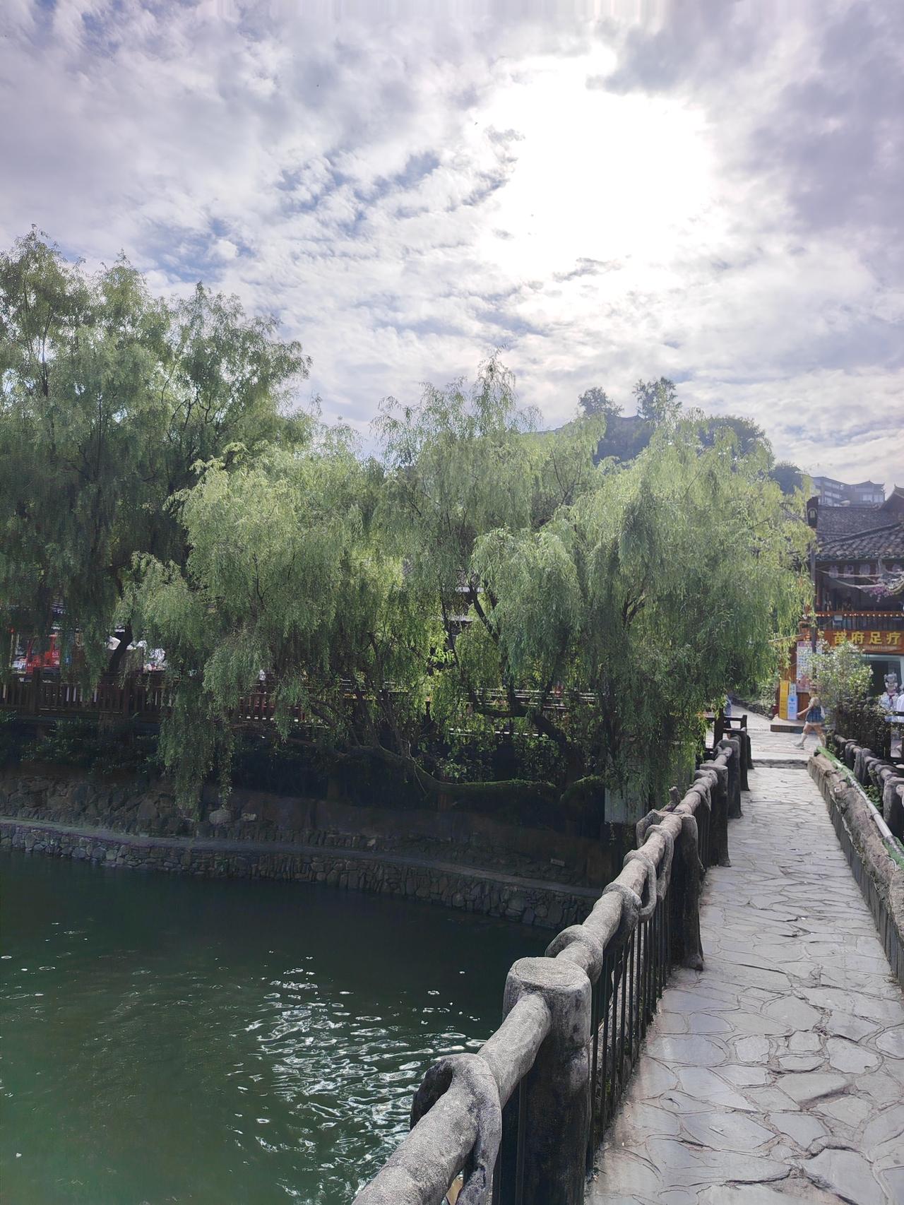 晒图笔记大赛夏日的热烈，不是催促，而是提醒：生命本该如此，全力以赴，不留余地地热