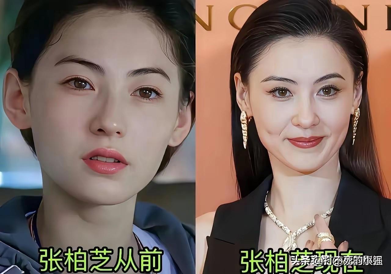 当年的绝代佳人，芳华褪去依旧优雅，谁最让你难忘
这些惊艳了时光的绝代佳人，曾经凭