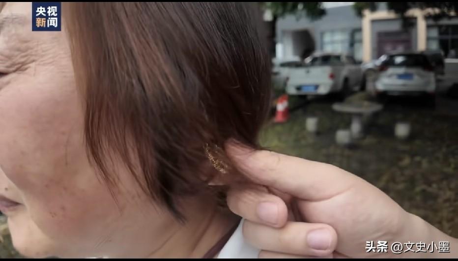 大姐的金耳环其实是假的，是她不到100块买的！

最近湖南石门县龙池河村支书向金