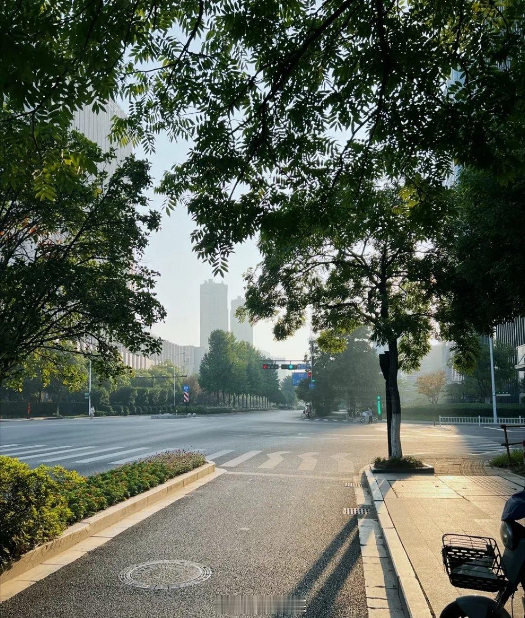 日常分享被城市街边的夏日光影治愈了🌿傍晚落日穿过层层树叶，在人行道投下错落树影