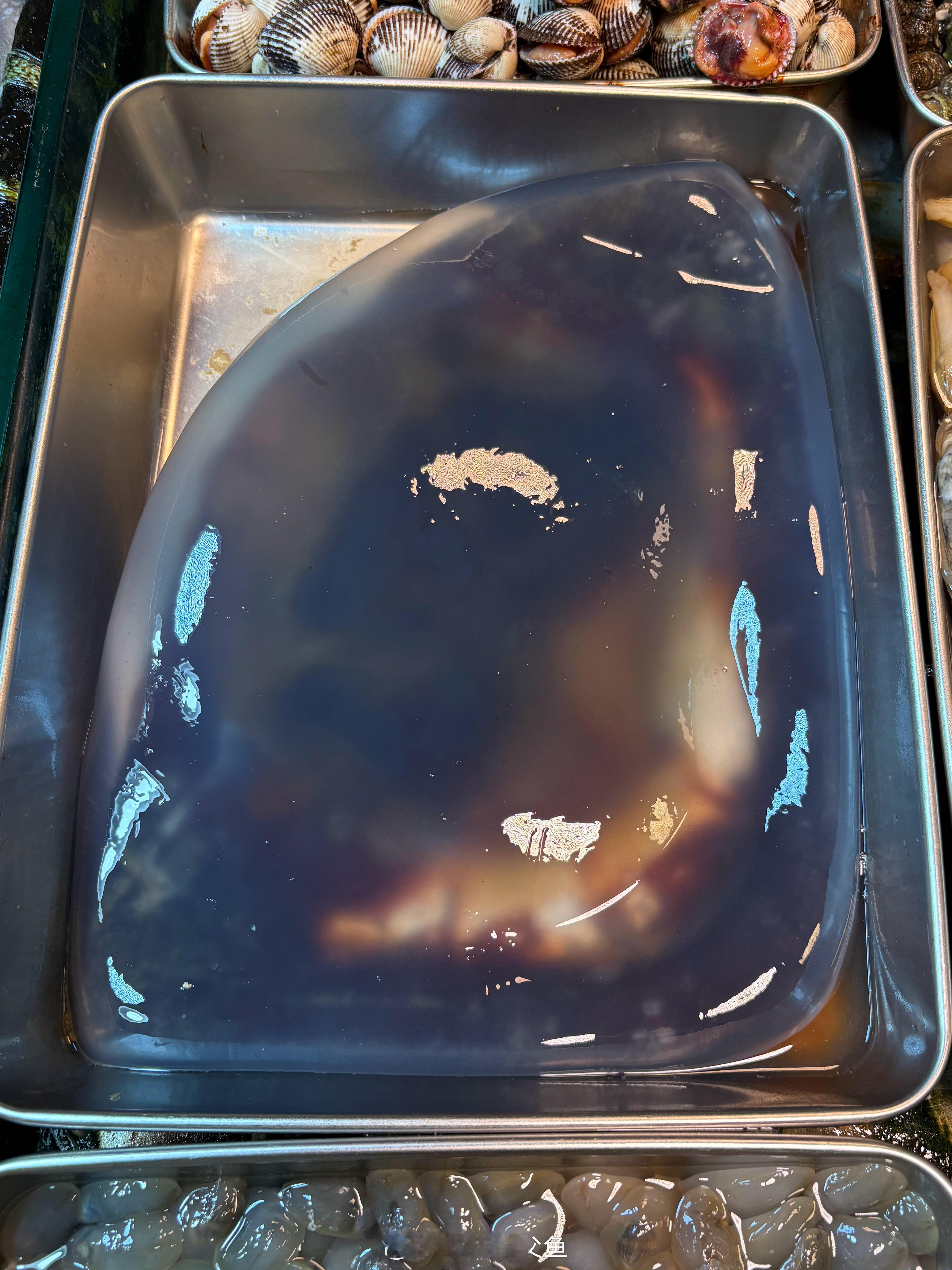 市场上的新鲜 海蜇/Rhopilema esculentum，此物不适鲜食，需进