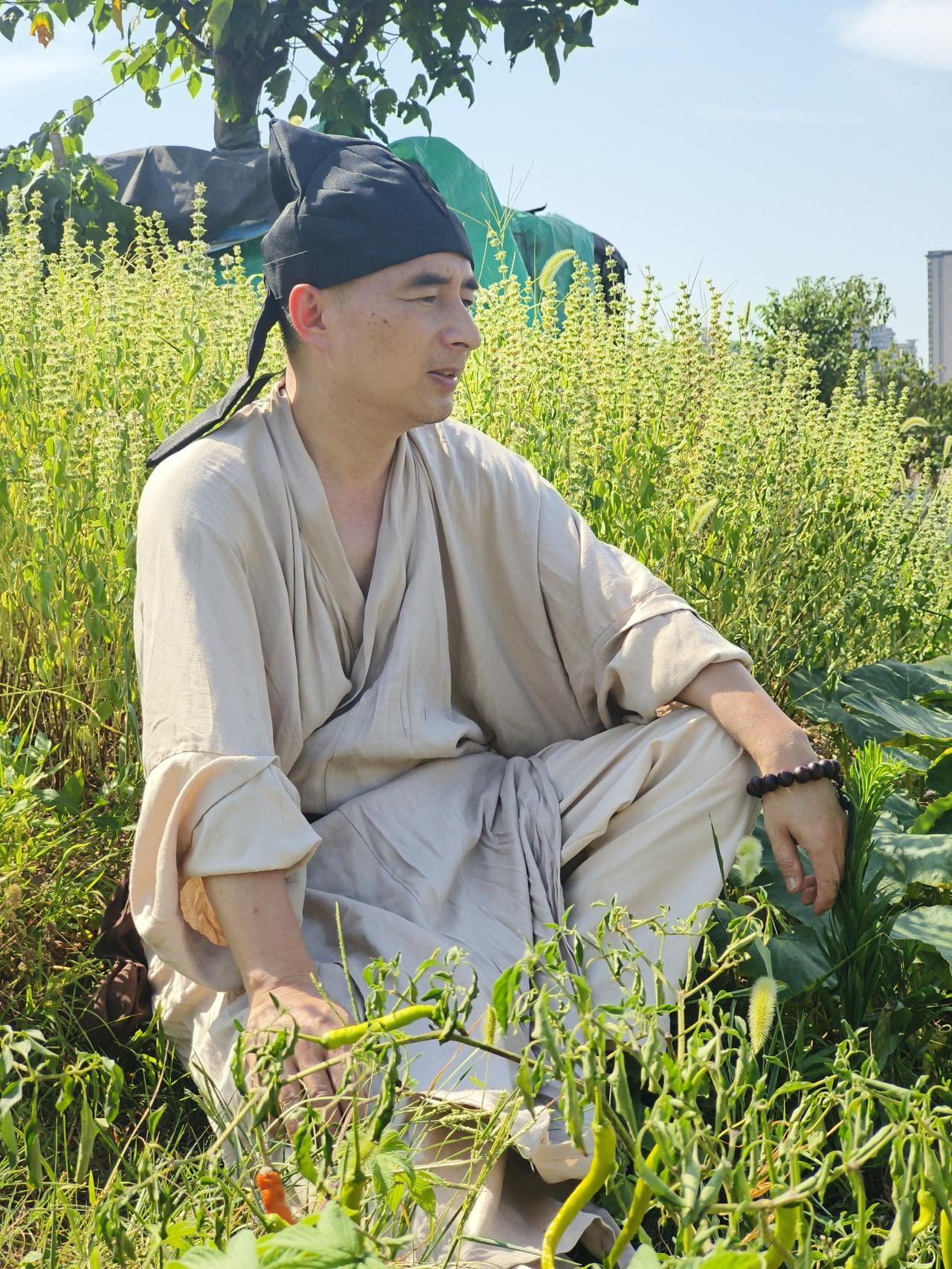 五律·倦坐野塍
〔当代〕邹謇
 
敛锄收落荚，倦坐野塍中。
土渍沾衣褐，斜晖逐晚
