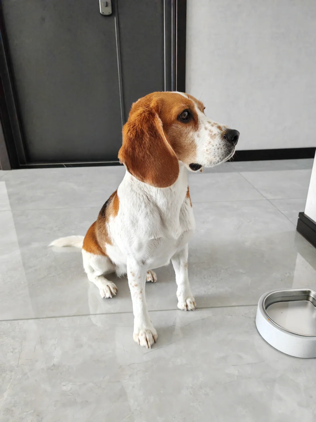 香喷喷 毛茸茸 白花花