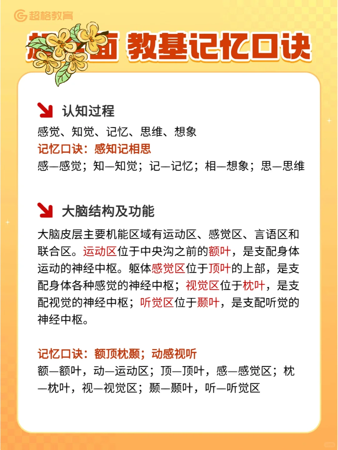📍 教基口诀 | 知识点背诵法①
