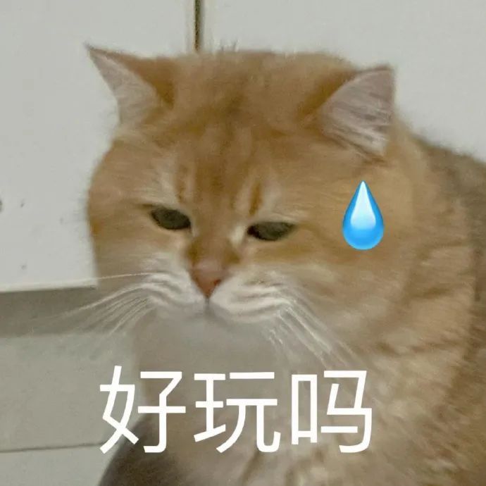 猫猫文字表情包 