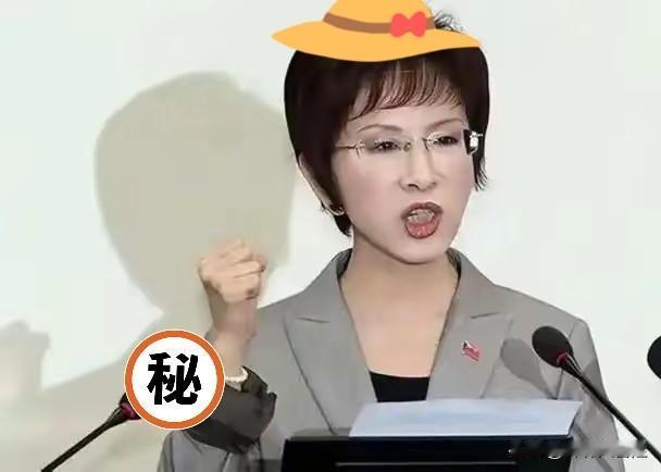 就在刚刚，
台“国民党”前主席洪秀柱发布声明，
2月14日，针对无党籍立委高金素