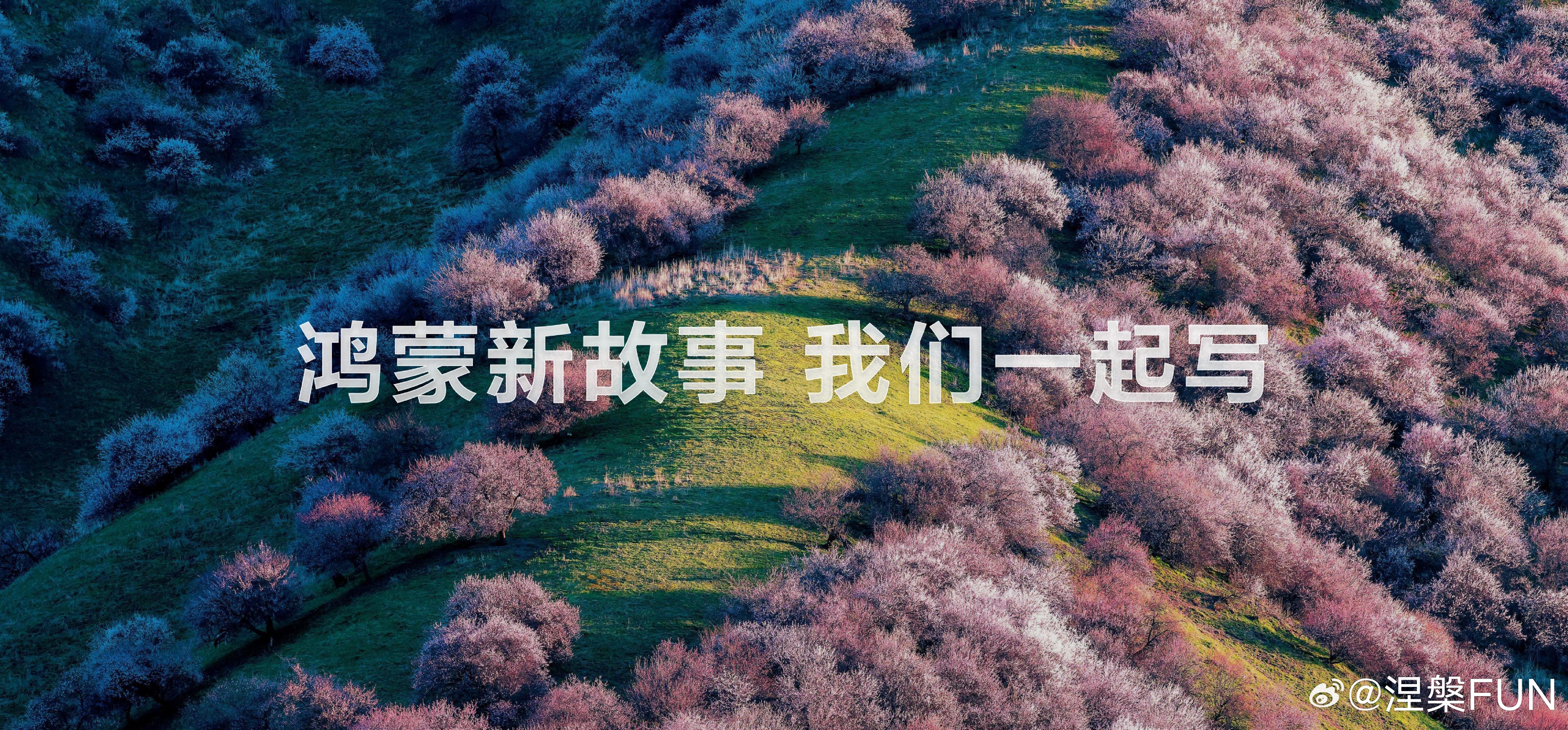 鸿蒙6终端设备数突破6600万  6600万！果然好用的系统大家都愿意升级。亲测