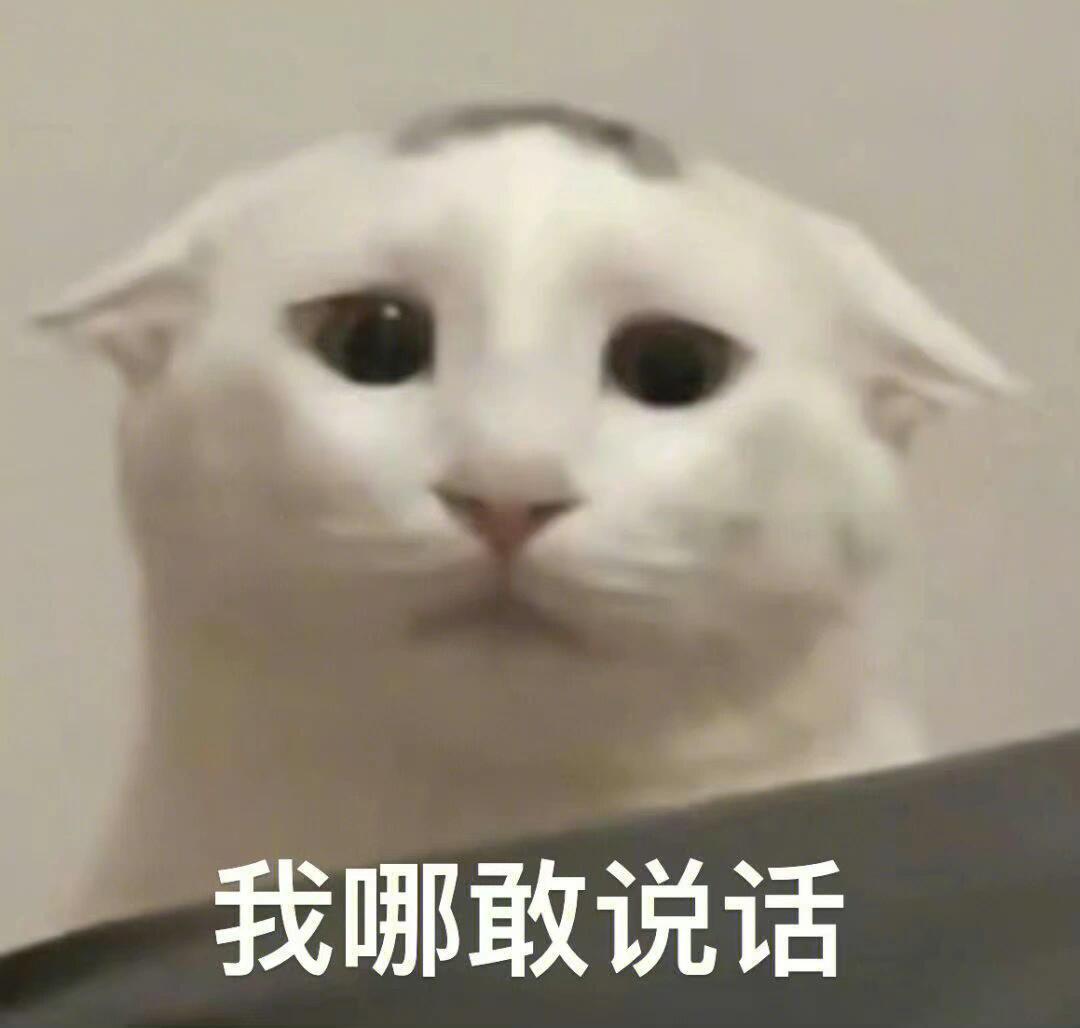 在公交车用放屁接话了……真的崩溃了，有对男女吵架呢，车上大家都默契的竖着耳朵偷听
