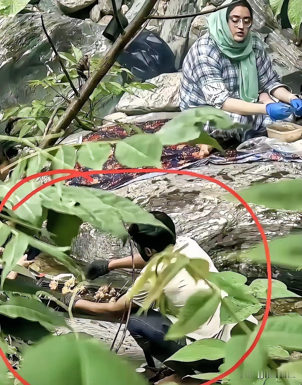 阿三在秦岭防火区内烧烤后续来啦。人找到了，已经传唤调查，具体处罚结果要等官宣。但
