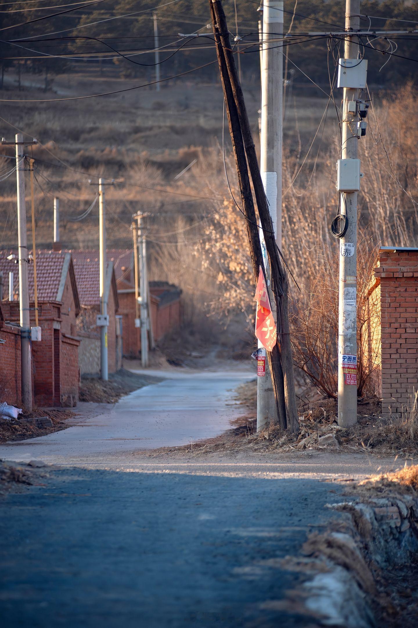 小菌他乡纵有当头月，不及家长一盏灯。 