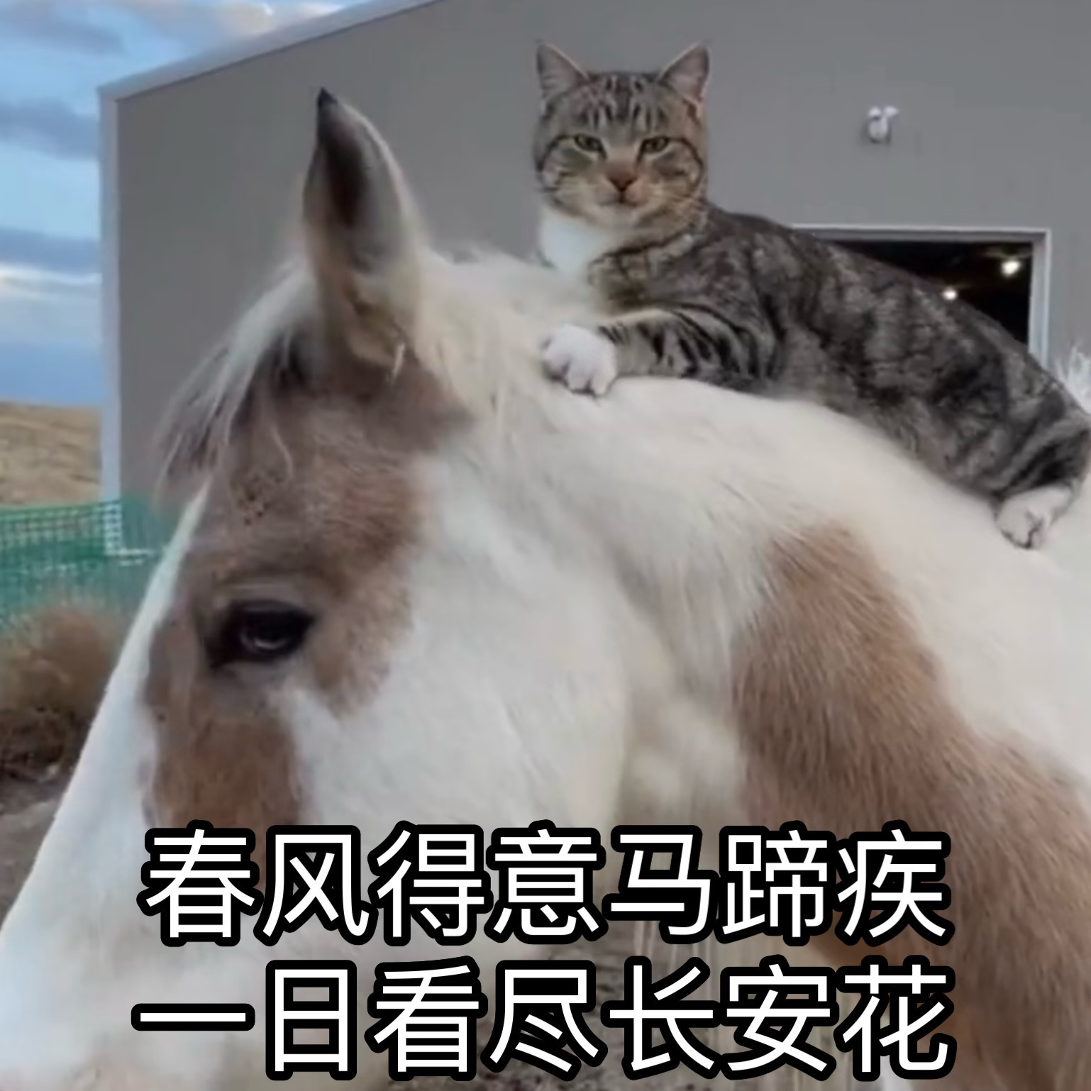 【孩子背古诗老忘？可能不是记性差，而是方法没选对】有些孩子背古诗，读上几遍还是磕