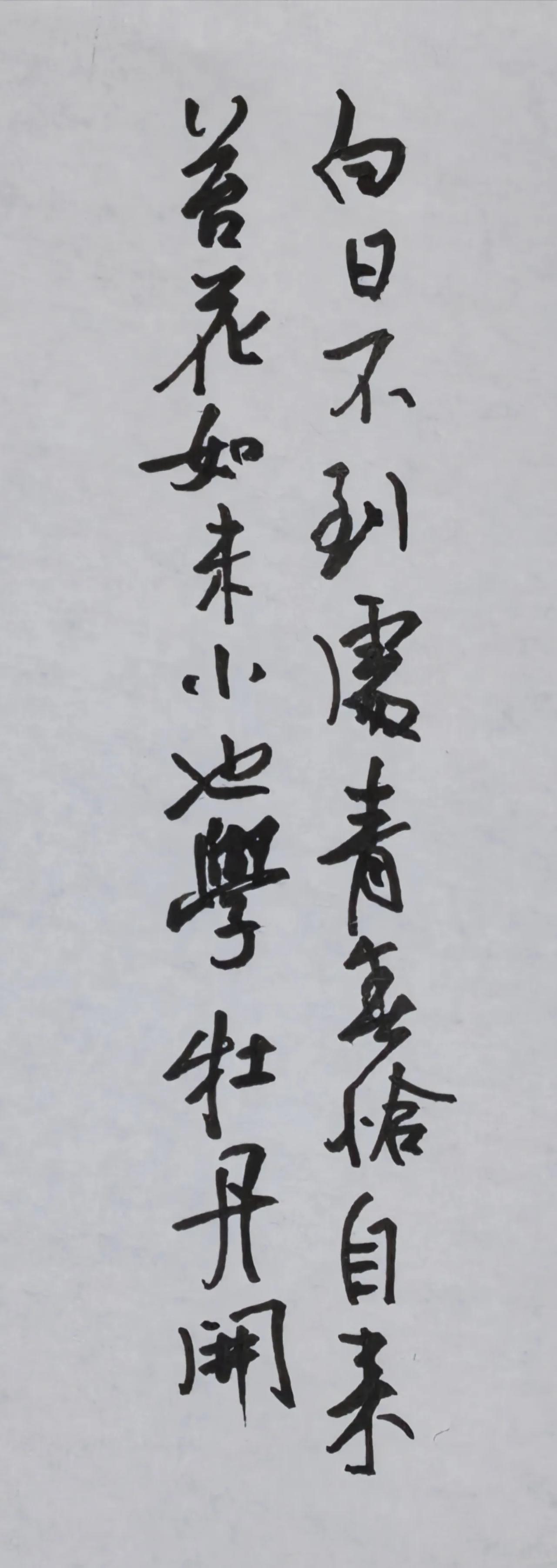 美工笔书写简要点评
行书用笔朴拙，字态随性自然，气息沉稳；个别字的结构可再收紧，