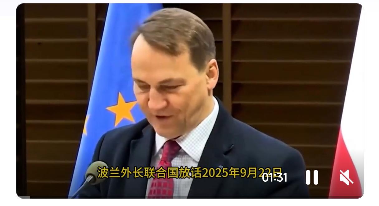 我怀疑，待乌克兰事了，波兰得挨揍了，因为表现实在太差了。
    波兰决定重启生