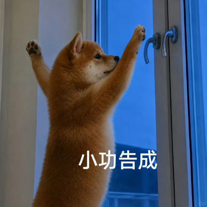 早早早☕️今天好好放松，明天高考加油