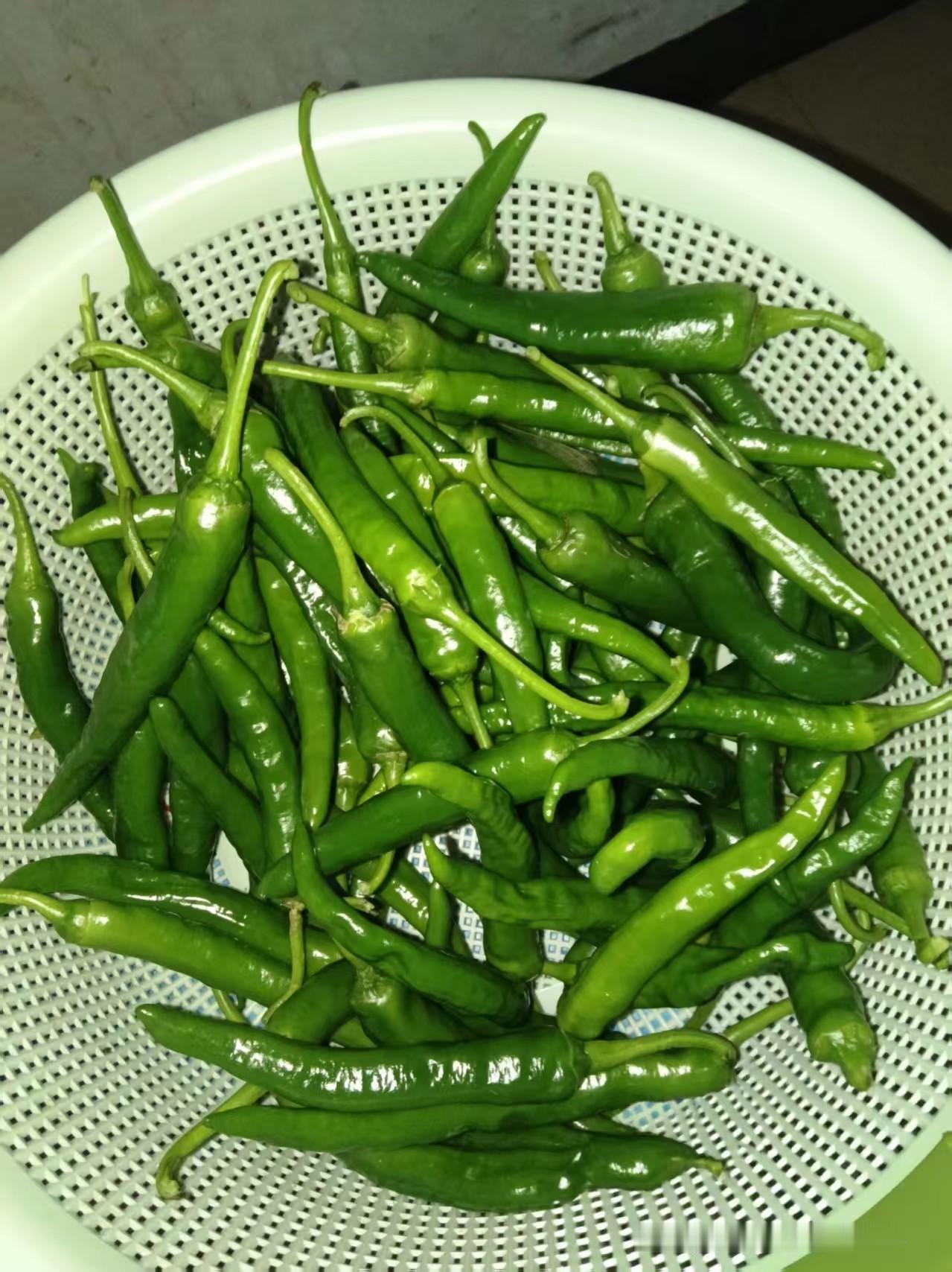 要说下饭神器，还得是本地新鲜青椒。满满一筛子的青辣椒，色泽翠绿鲜亮，自带浓郁的椒