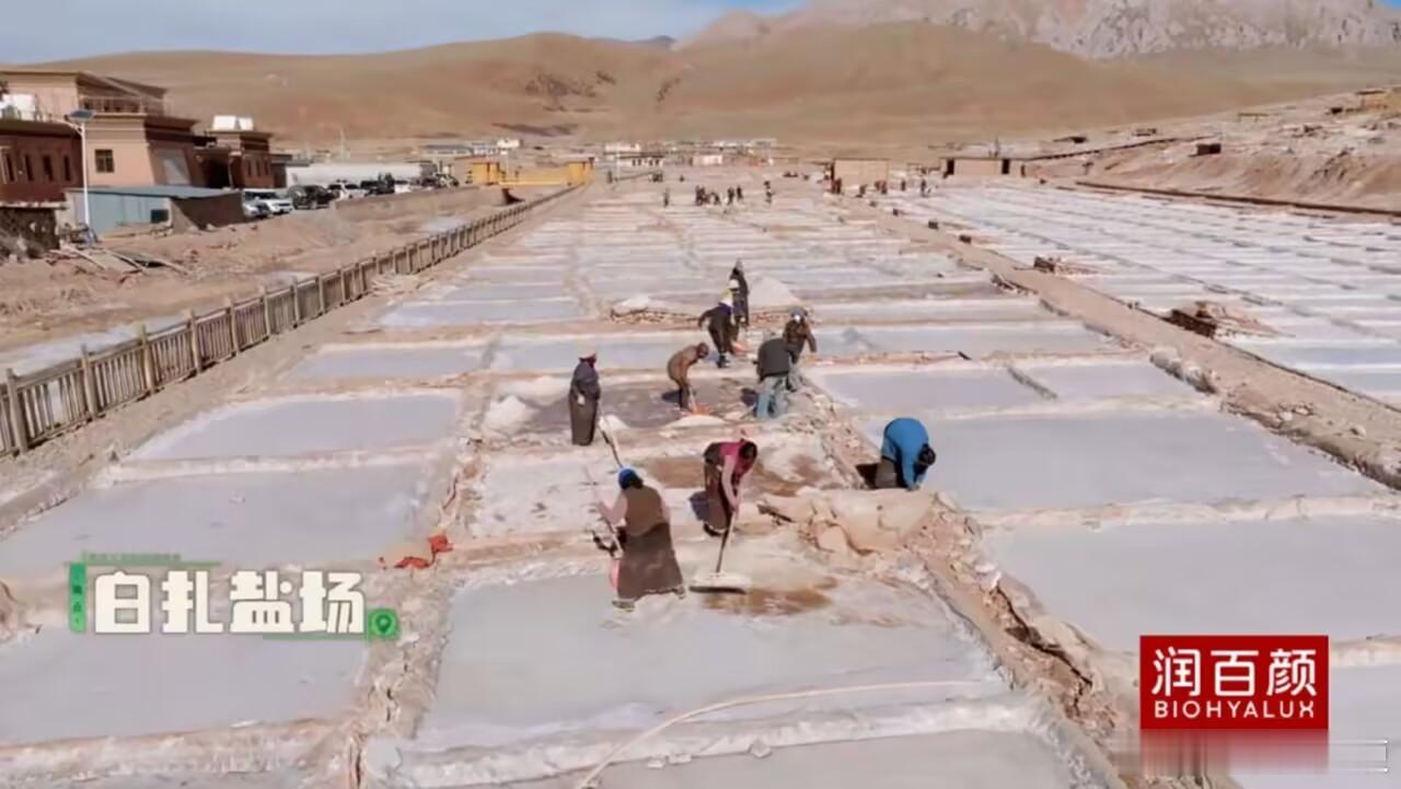 种地吧4先导片还是那个种地，我要看 