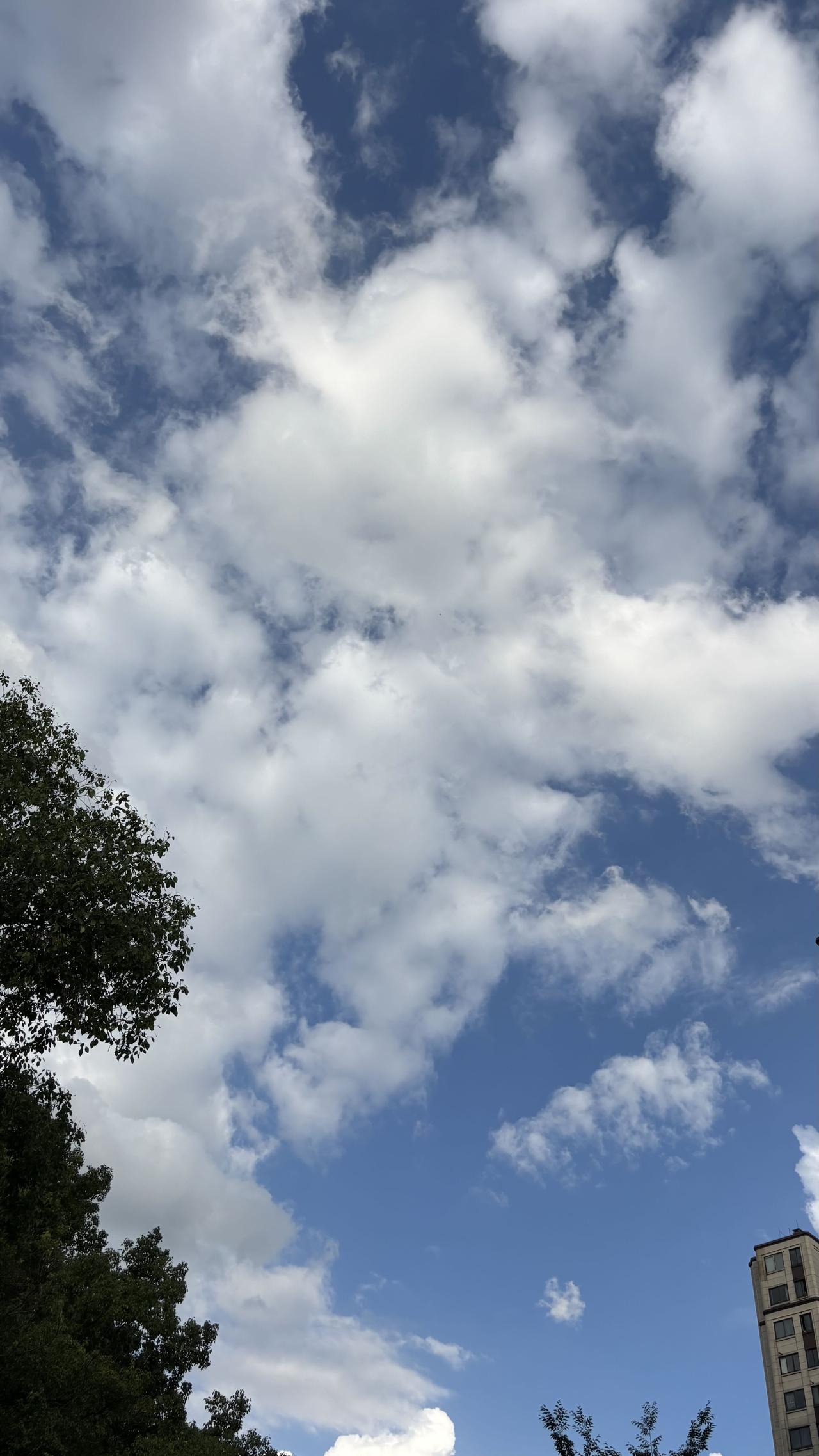 随手拍张图，分享美好瞬间抬眼撞见治愈的夏日蓝天，澄澈的蓝幕上铺满蓬松舒展的白云，